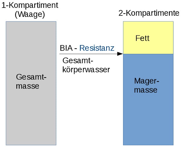 Resistanz aus BIA-Messung liefert die 2 Kompartimente Fett und fettfreie Masse